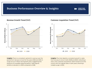 business  Template: Aperçus de l'entreprise et graphiques des domaines de performance commerciale