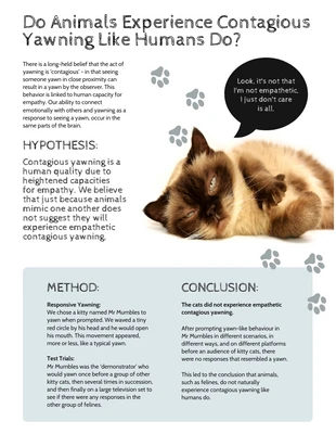 premium  Template: Pôster de pesquisa de estudo de gato engraçado A4