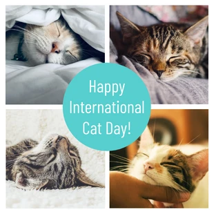 Free  Template: Publicación de Instagram del día del gato de Grid