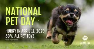 premium  Template: Message promotionnel sur Facebook pour la Journée nationale des animaux de compagnie