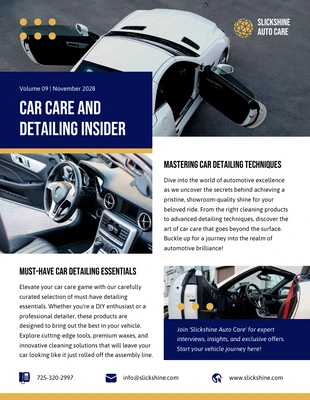 business  Template: Car Care and Detailing Newsletter