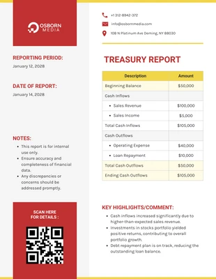 Free  Template: Treasury Report Template