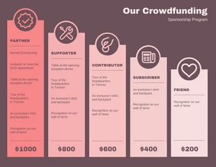 business  Template: Programma di sponsorizzazione del crowdfunding Infografica