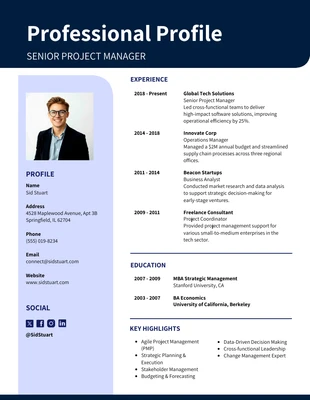 business  Template: Plantilla profesional de una página