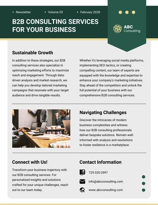 business  Template: B2B Consulting Services Newsletter