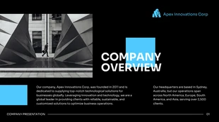 Black And Blue Ssimple Company Presentation - Pagina 2
