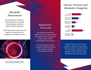 Research Brochure Template - Page 2