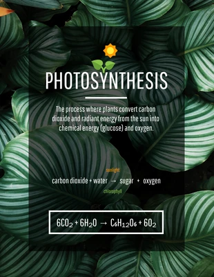 Free  Template: Poster sulla fotosintesi