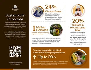 Free  Template: Infografía del chocolate sostenible