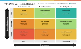 business  Template: Modelo de planejamento de sucessão de grade de 9 caixas