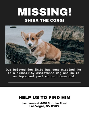 Free  Template: Schwarzer und weißer vermisster Hund Flyer