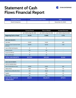 business  Template: Demonstração dos fluxos de caixa Relatório financeiro
