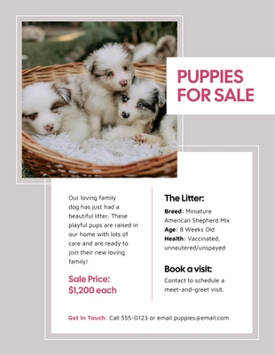 Free  Template: Plantilla de volante para la venta de cachorros