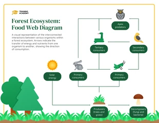 premium  Template: Diagrama da Teia Alimentar de Conectividade do Ecossistema Florestal