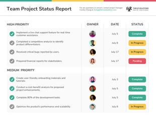 premium  Template: Relatório de Status de Projeto de Equipe Colorida