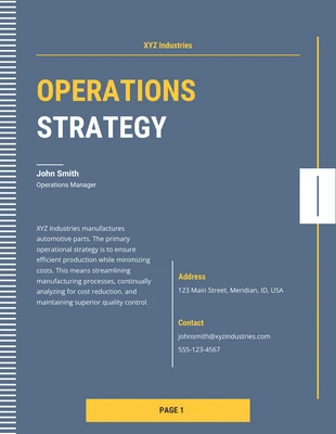 Free  Template: Blue And Line Pattern Operational Plan