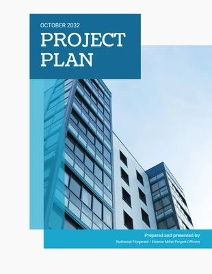 Free  Template: Company Project Plan Template