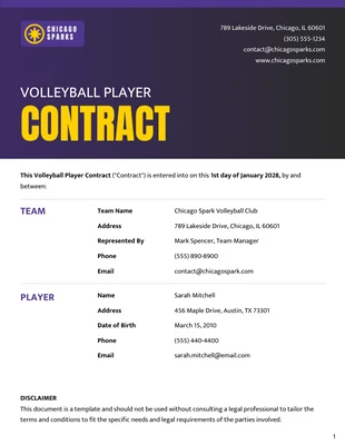 Free  Template: Volleyball Player Contract Template