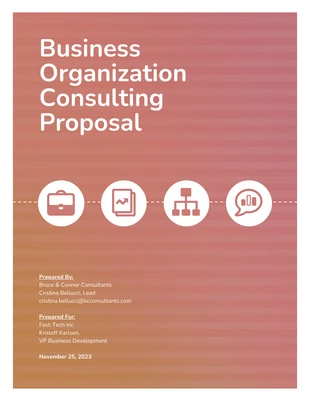 business  Template: Projekt Business Consulting Vorschlag