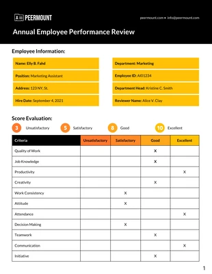 premium  Template: Plantilla de evaluación del rendimiento del personal