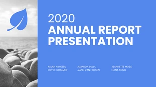 premium  Template: Non Profit Annual Report Presentation Template