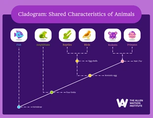 Free  Template: Cladogramme ludique violet d'animaux