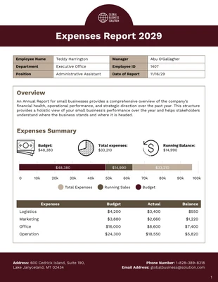 premium  Template: Modèle de rapport de dépenses pour les petites entreprises