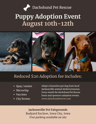 premium  Template: Nonprofit Pet Adoption Event Poster