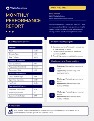 premium  Template: Monthly Performance Report Template