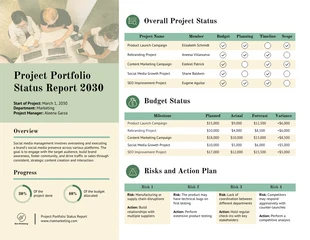 premium interactive Template: Modelo de Relatório de Status do Portfólio de Projetos