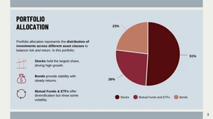 Daily Investment Portfolio Performance Presentation Template - Pagina 3