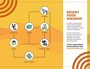 premium  Template: شبكة الغذاء في أمثلة النظام البيئي الصحراوي