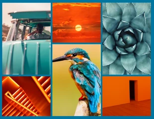premium  Template: Collage de fotos con cuadrícula naranja