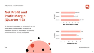 Red And White Simple Data Presentation - Seite 4