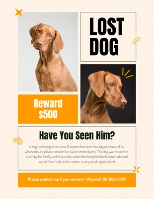Free  Template: Poster jaune doux pour chien perdu
