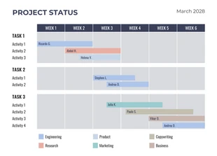 premium  Template: Diagrama de Gantt del proyecto semanal de la empresa