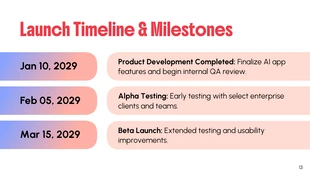 Product Launch Presentation Template - page 13