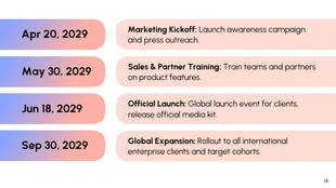 Product Launch Presentation Template - page 14