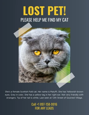 Free  Template: Poster del gatto scuro scomparso