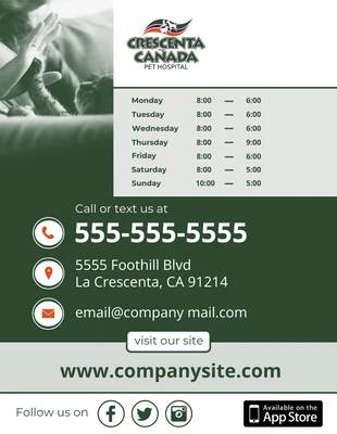 business  Template: Contact Flyer