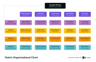 premium  Template: Plantilla de organización matriz premium