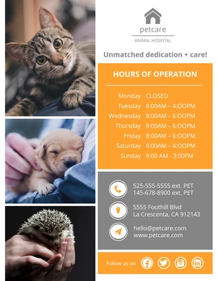 Free  Template: Colorful Animal Hospital Flyer