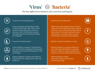 business  Template: Infografik zum Vergleich von Viren und Bakterien
