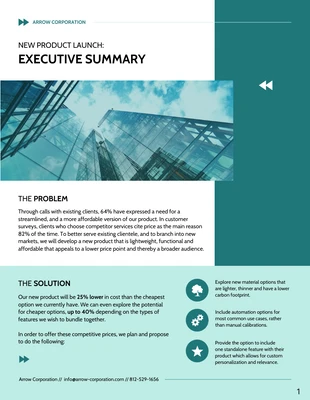 premium  Template: Business Plan Executive Summary Template