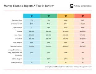 Free  Template: Colorful Startup Business Financial Report