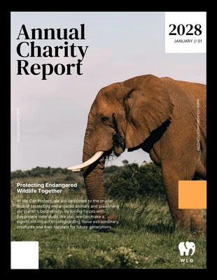 Free  Template: Relatório Anual de Caridade da Organização de Animais Preto, Branco e Laranja