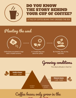 premium  Template: Infográfico sobre a história por trás da sua xícara de café