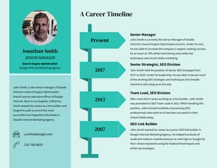 premium  Template: Teal Career Timeline Infographic