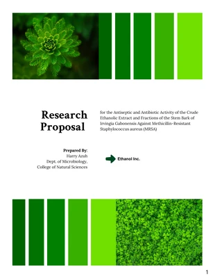 Free  Template: White and Green Consulting Proposal Template