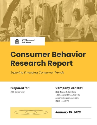 premium  Template: Consumer Behavior Research Report